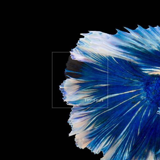 娇妻之绿帽癖1～17
